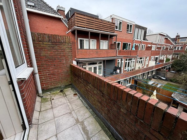 WhatsApp Image 2026-02-03 at 14.24.32 (14).jpeg